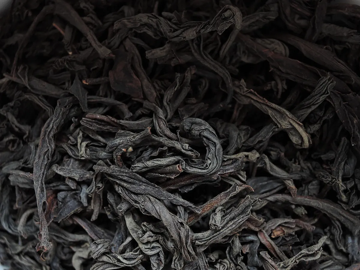 Assam vs. Ceylon: A Beginner's Guide to Choosing Your Daily Black Tea