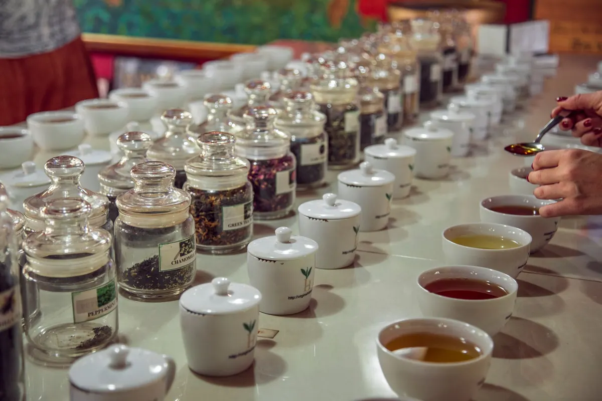 How to Taste Tea Like a Sommelier: A Beginner's Guide to Slurping, Aromas, and Aftertaste